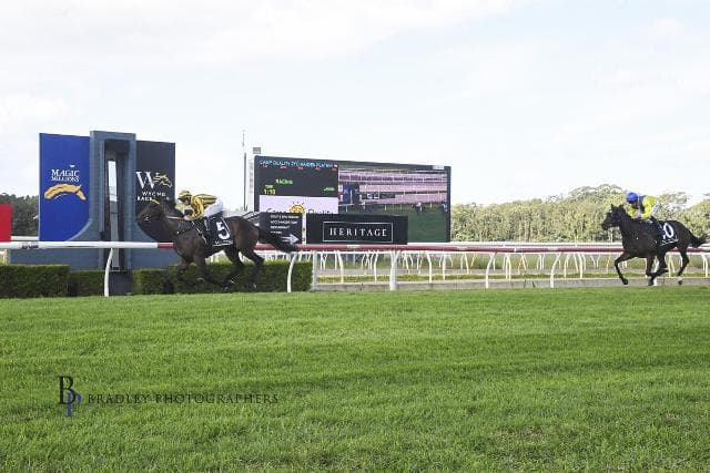 HOME FEATURE LIKELY NEXT FOR BRAD’S CLASSY COLT