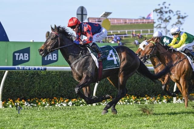 HE’S A MONEY TREE FOR SURE