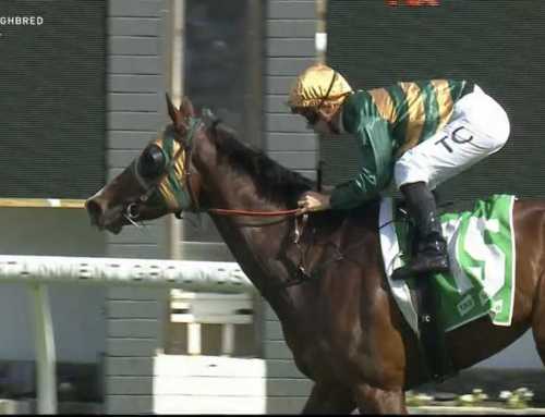 “LADY” SHOWS OFF AT GOSFORD FIRST-UP